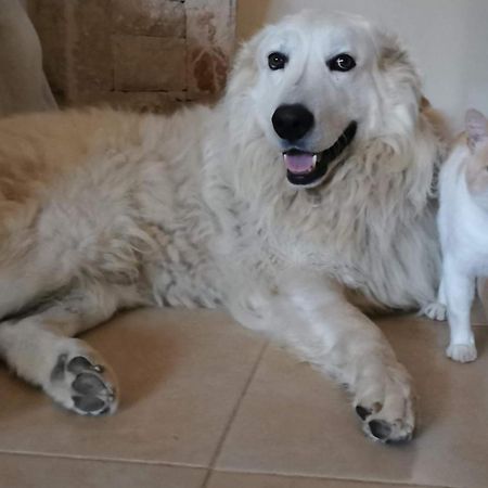 Appartamento Matej Matulji Esterno foto